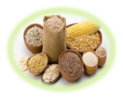 Food Groups at a Glance — Grains &amp; Cereals — Neu-Skin.com